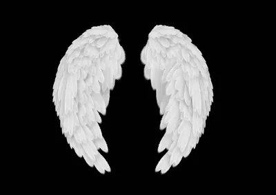 Ангельские крылья. Небесное крыло, небесные крылатые ангелы и святые крылья  набросок векторной иллюстрации набор Векторное изображение  ©tartila.stock.gmail.com 269714728