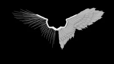 Ангельские крылья PNG , Летающие крылья, перекрыть крылья, крыло PNG  картинки и пнг PSD рисунок для бесплатной загрузки