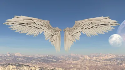Купить тату-стикер Ангельские крылья в Киеве - Водостойкие переводки с  крыльями ангела