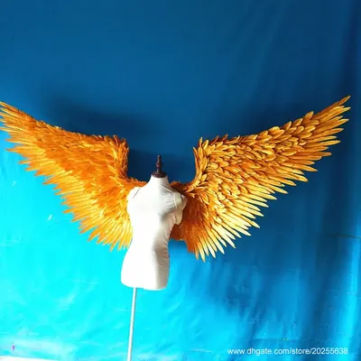 Photo beautiful Angels wings | Крылья