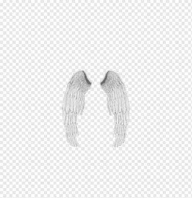 Мультфильм ангельские крылья 3D Модель $59 - .fbx .max .obj .ztl - Free3D