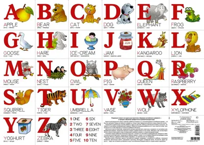 Электронный плакат Русский и Английский алфавит — купить в  интернет-магазине по низкой цене на Яндекс Маркете