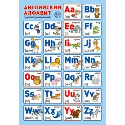 Английский алфавит с транскрипцией и русским произношением для детей и  взрослых