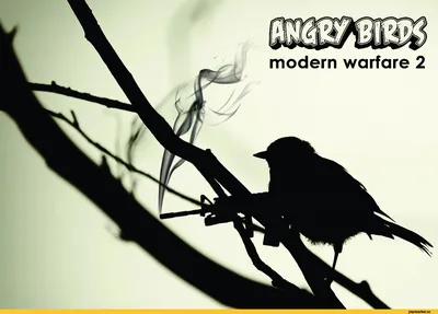 Kinect Angry Birds: Star War Xbox 360 (ID#73432562), цена: 13 руб., купить  на Deal.by
