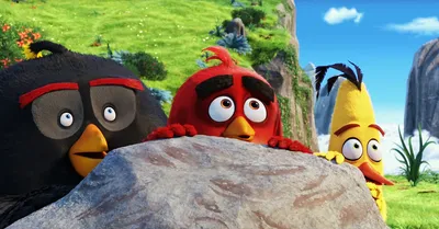 Art of The Angry Birds Movie