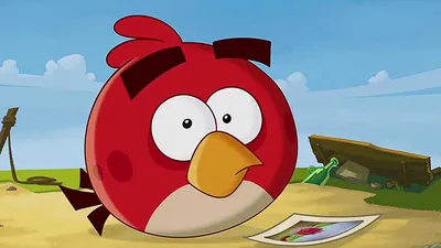 Physics Says Hollywood Shrank the Angry Birds for Their Leading Roles |  WIRED