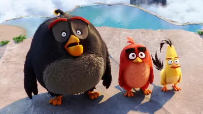Angry Birds\" Фотообои в дестку. На любой размер. Герои мультфильмов. Купить.