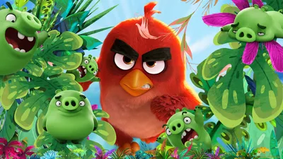 Обратная связь Выпуск 13: Изменения на канале Angry Birds Russia!/Feedback  Release 13! - YouTube