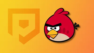 Дата выхода Angry Birds на PC, iOS и Android в России и во всем мире