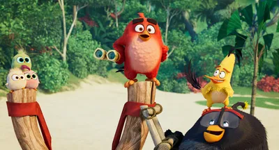 Angry Birds. Беда на Птичьем острове | Стивенс Сара - купить с доставкой по  выгодным ценам в интернет-магазине OZON (772670591)