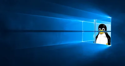 Видео обои - живые обои для Windows 7