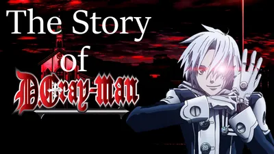 Exciting Adventures in D.Gray-man Manga Series!