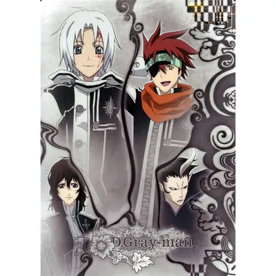 What Happened to the D Gray Man Anime?