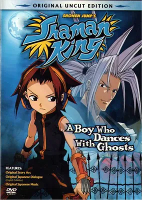 DVD Anime Shaman King (Year 2021) Complete TV Series (1-52) English All  Region | eBay