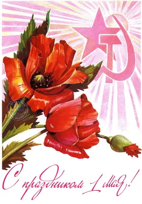 Открытка с праздником 1 мая с цветами - открытка №6687 рубрики Открытки с 1  мая | Открытки, Праздничные открытки, Праздник