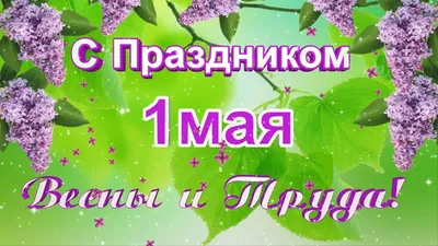 Футаж 1 мая. С праздником Весны и Труда! | Поздравляшки. Видео-поздравления  и футажи | Дзен