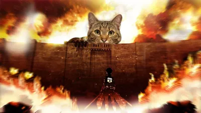 Картина по номерам на холсте Большая кошка (Аниме, Животные) - 7584 В 30x40  - купить с доставкой по выгодным ценам в интернет-магазине OZON (373073319)