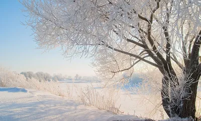 Зима - Snowfall in the village - обои живые