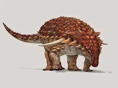 Динозавр анкилозавр