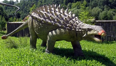 Анкилозавр - травоядное с бронированными веками | Фантастические твари |  Дзен