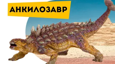Dinosaurs t-Rex vs ankylosaur. About dinosaurs the Ankylosaurus children  Poznavatel cat semen - YouTube