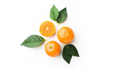 Скачать 938x1668 апельсины, фрукты, цитрус, свежий обои, картинки iphone  8/7/6s/6 for parallax