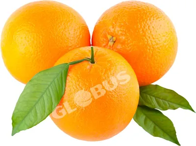 Обои Апельсин, фруктовое дерево, цитрус, Рангпур, мандарин на телефон  Android, 1080x1920 картинки и фото бесплатно