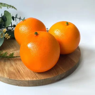 Blumentag\" DOJ-01 Сушеный апельсин для декора 10 шт. . купить за 207,00 ₽ в  интернет-магазине Леонардо