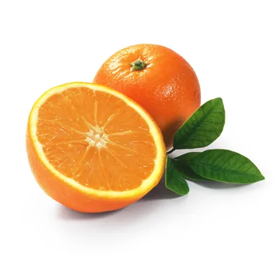 Апельсин на дереве 8-027 фотообои на флизелиновой основе 0 руб Фотообои 3  полосы Фотообои на флизелине - Магазин «Дом обоев» Московской Обойной  Фабрики
