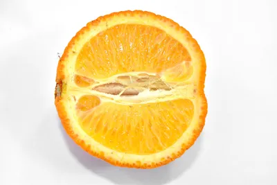 Сублимированный апельсин слайс с цедрой 250 г купить в интернет-магазине  Шоко.ru