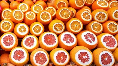 Апельсины - самые лучшие из Валенсии! - Игуана Magazine
