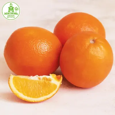 Апельсин или грейпфрут: врач рассказала, какой продукт полезнее - РИА  Новости Спорт, 02.05.2021