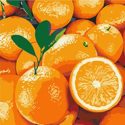 Разрезанный апельсин на деревянном столе, крупным планом :: Стоковая  фотография :: Pixel-Shot Studio