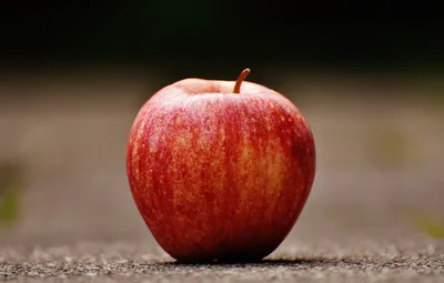 File:Apple logo grey.svg - Wikimedia Commons