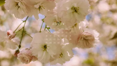 Скачайте обои-календарь от Rus.Postimees.ee на апрель