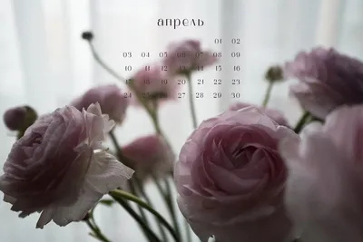 Календарь на Апрель 2020 | Instagram, Illustration