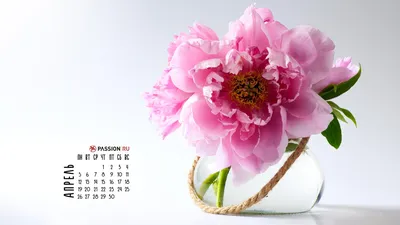 Календарь 2021 на апрель месяц - Файлы для распечатки