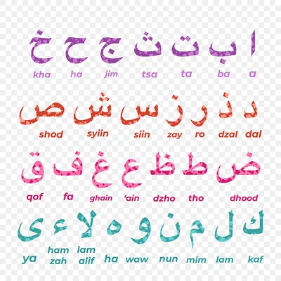Png арабский алфавит PNG , арабский, шрифт алфавит, арабский алфавит PNG  картинки и пнг PSD рисунок для бесплатной загрузки