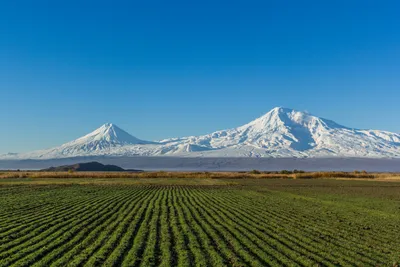 File:Mount Ararat from Artashat (28mm).jpg - Wikimedia Commons