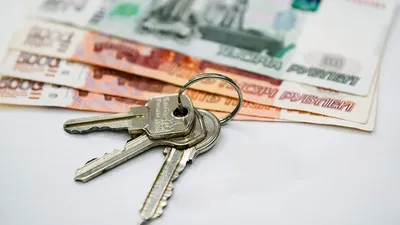 В России создадут единую систему аренды жилья. Что это значит :: Жилье ::  РБК Недвижимость