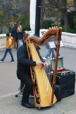 Арфа в темноте - «Artplay – Центр Дизайна»