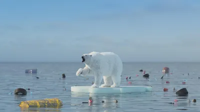Арктика: изменение климата сеет хаос - «Экология России»