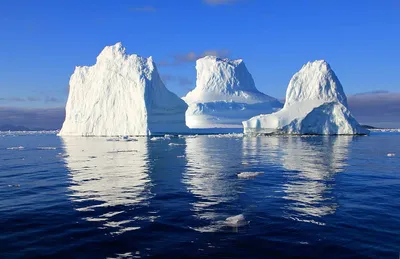 Арктика - территория мира\" - новые поступления в электронный каталог.  Новинки ЭК
