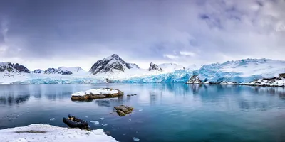 ВМО: в Арктике тает лед и растет интенсивность судоходства | Новости ООН