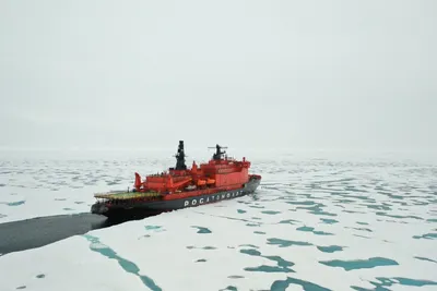 7 фактов об Арктике, о которых вы, скорее всего, не знали | Фигачу на  удалёнке с 2011 года | Дзен