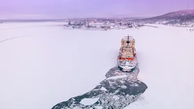 Костюм летний Арктика