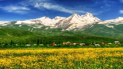 Скачать обои flag, armenia, армения, арарат, ararat, армяне, hayastan,  раздел текстуры в разрешении 2560x1600