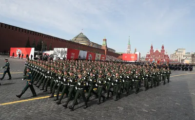 До 1,5 млн человек увеличат численность армии России - Новости Курска