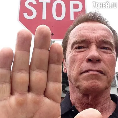 Arnold Schwarzenegger, Арнольд Шварценеггер и Плакат и Постер 80346714  купить за 493 ₽ в интернет-магазине Wildberries