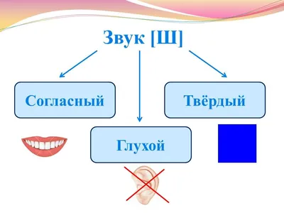 Как научить ребенка свистеть и шипеть – постановка звуков